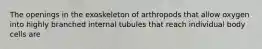 The openings in the exoskeleton of arthropods that allow oxygen into highly branched internal tubules that reach individual body cells are