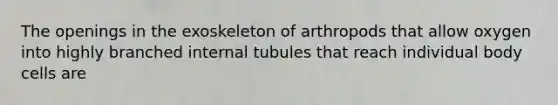 The openings in the exoskeleton of arthropods that allow oxygen into highly branched internal tubules that reach individual body cells are