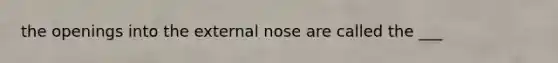 the openings into the external nose are called the ___