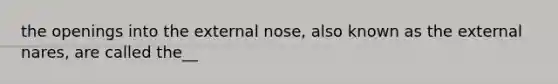 the openings into the external nose, also known as the external nares, are called the__