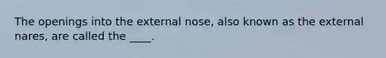 The openings into the external nose, also known as the external nares, are called the ____.