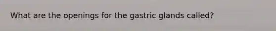 What are the openings for the gastric glands called?