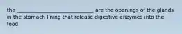 the ______________________________ are the openings of the glands in the stomach lining that release digestive enzymes into the food