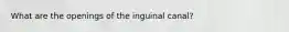 What are the openings of the inguinal canal?