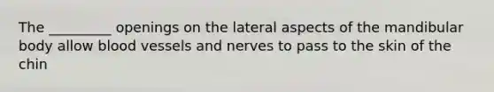 The _________ openings on the lateral aspects of the mandibular body allow blood vessels and nerves to pass to the skin of the chin