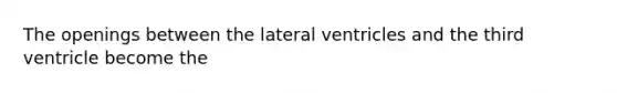 The openings between the lateral ventricles and the third ventricle become the