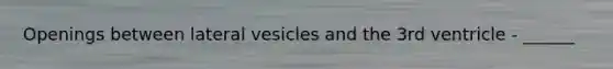 Openings between lateral vesicles and the 3rd ventricle - ______