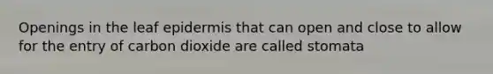 Openings in the leaf epidermis that can open and close to allow for the entry of carbon dioxide are called stomata