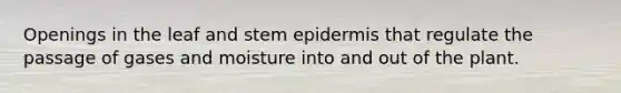 Openings in the leaf and stem epidermis that regulate the passage of gases and moisture into and out of the plant.