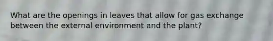 What are the openings in leaves that allow for gas exchange between the external environment and the plant?