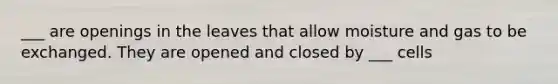 ___ are openings in the leaves that allow moisture and gas to be exchanged. They are opened and closed by ___ cells