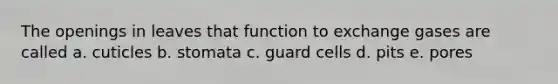 The openings in leaves that function to exchange gases are called a. cuticles b. stomata c. guard cells d. pits e. pores