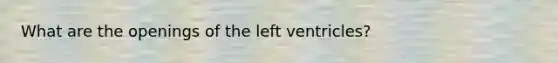 What are the openings of the left ventricles?