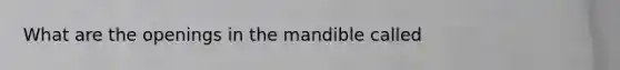 What are the openings in the mandible called