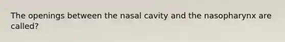 The openings between the nasal cavity and the nasopharynx are called?