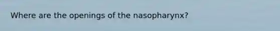 Where are the openings of the nasopharynx?