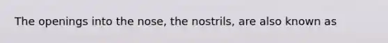 The openings into the nose, the nostrils, are also known as