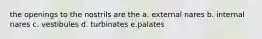 the openings to the nostrils are the a. external nares b. internal nares c. vestibules d. turbinates e.palates