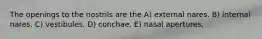 The openings to the nostrils are the A) external nares. B) internal nares. C) vestibules. D) conchae. E) nasal apertures.
