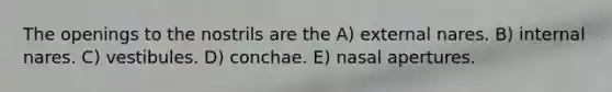 The openings to the nostrils are the A) external nares. B) internal nares. C) vestibules. D) conchae. E) nasal apertures.