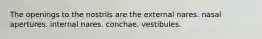 The openings to the nostrils are the external nares. nasal apertures. internal nares. conchae. vestibules.
