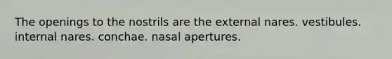 The openings to the nostrils are the external nares. vestibules. internal nares. conchae. nasal apertures.
