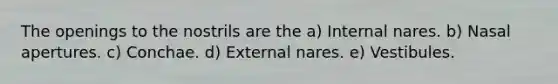 The openings to the nostrils are the a) Internal nares. b) Nasal apertures. c) Conchae. d) External nares. e) Vestibules.