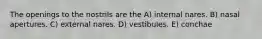 The openings to the nostrils are the A) internal nares. B) nasal apertures. C) external nares. D) vestibules. E) conchae