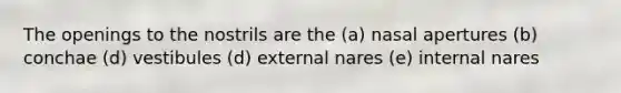 The openings to the nostrils are the (a) nasal apertures (b) conchae (d) vestibules (d) external nares (e) internal nares