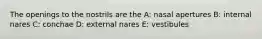 The openings to the nostrils are the A: nasal apertures B: internal nares C: conchae D: external nares E: vestibules