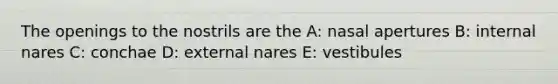 The openings to the nostrils are the A: nasal apertures B: internal nares C: conchae D: external nares E: vestibules