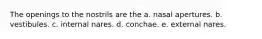 The openings to the nostrils are the a. nasal apertures. b. vestibules. c. internal nares. d. conchae. e. external nares.
