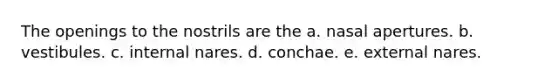 The openings to the nostrils are the a. nasal apertures. b. vestibules. c. internal nares. d. conchae. e. external nares.