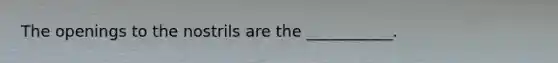 The openings to the nostrils are the ___________.