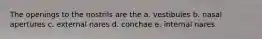 The openings to the nostrils are the a. vestibules b. nasal apertures c. external nares d. conchae e. internal nares