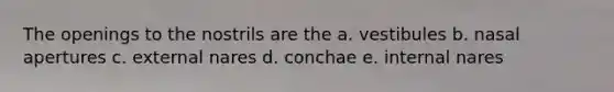 The openings to the nostrils are the a. vestibules b. nasal apertures c. external nares d. conchae e. internal nares