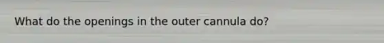 What do the openings in the outer cannula do?