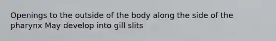 Openings to the outside of the body along the side of <a href='https://www.questionai.com/knowledge/ktW97n6hGJ-the-pharynx' class='anchor-knowledge'>the pharynx</a> May develop into gill slits