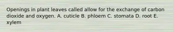 Openings in plant leaves called allow for the exchange of carbon dioxide and oxygen. A. cuticle B. phloem C. stomata D. root E. xylem