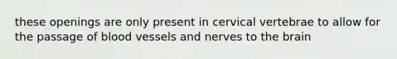 these openings are only present in cervical vertebrae to allow for the passage of blood vessels and nerves to the brain