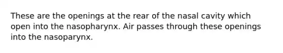 These are the openings at the rear of the nasal cavity which open into the nasopharynx. Air passes through these openings into the nasoparynx.