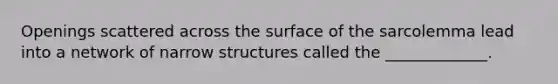 Openings scattered across the surface of the sarcolemma lead into a network of narrow structures called the _____________.