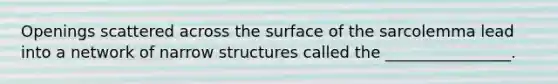 Openings scattered across the surface of the sarcolemma lead into a network of narrow structures called the ________________.