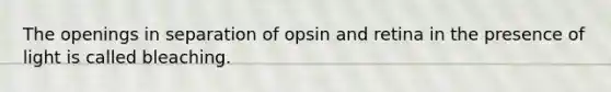 The openings in separation of opsin and retina in the presence of light is called bleaching.