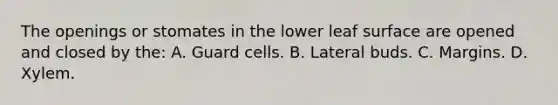 The openings or stomates in the lower leaf surface are opened and closed by the: A. Guard cells. B. Lateral buds. C. Margins. D. Xylem.