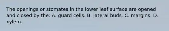 The openings or stomates in the lower leaf surface are opened and closed by the: A. guard cells. B. lateral buds. C. margins. D. xylem.