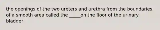 the openings of the two ureters and urethra from the boundaries of a smooth area called the _____on the floor of the urinary bladder