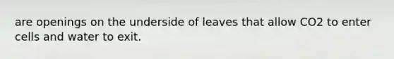 are openings on the underside of leaves that allow CO2 to enter cells and water to exit.