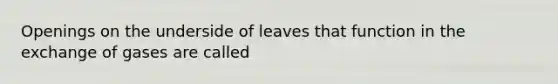 Openings on the underside of leaves that function in the exchange of gases are called