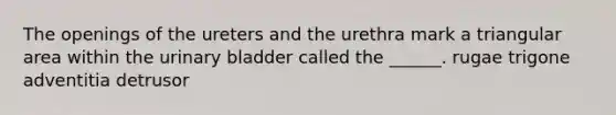 The openings of the ureters and the urethra mark a triangular area within the <a href='https://www.questionai.com/knowledge/kb9SdfFdD9-urinary-bladder' class='anchor-knowledge'>urinary bladder</a> called the ______. rugae trigone adventitia detrusor